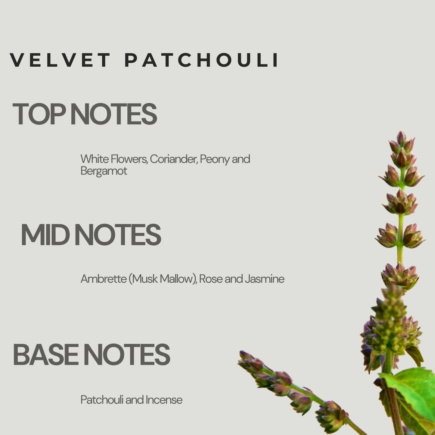 Luxury Travel Perfume Sprays 7.5 ml